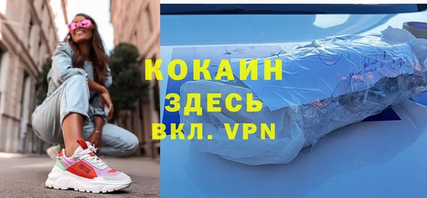 гашик Мегион