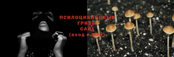 гашик Мегион