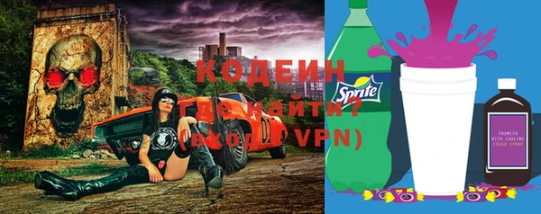 гашик Мегион