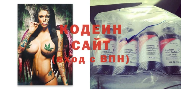 гашик Мегион