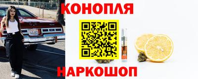 spice Балашиха